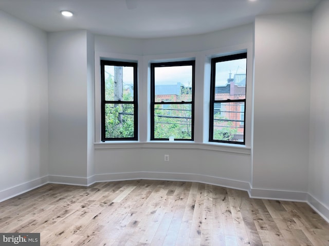 spare room with light hardwood / wood-style flooring and a healthy amount of sunlight