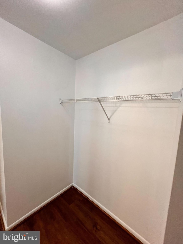 spacious closet featuring dark hardwood / wood-style floors