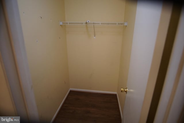 walk in closet featuring dark hardwood / wood-style floors