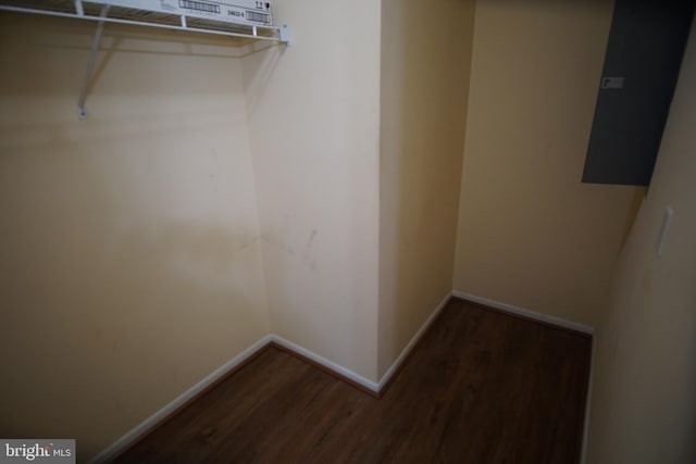 spacious closet with dark hardwood / wood-style floors