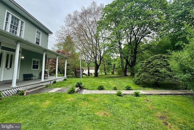 view of yard featuring a porch