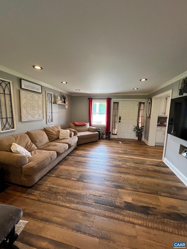 living room featuring dark hardwood / wood-style floors and crown molding