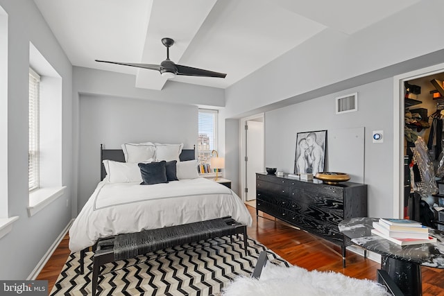 bedroom with a spacious closet, a closet, ceiling fan, and dark hardwood / wood-style floors