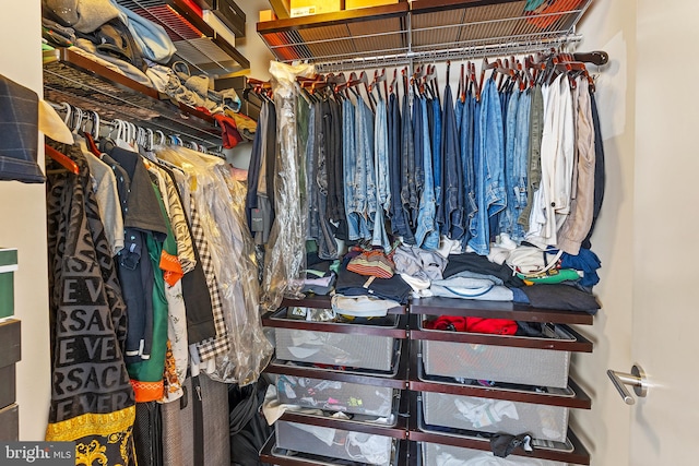 view of walk in closet