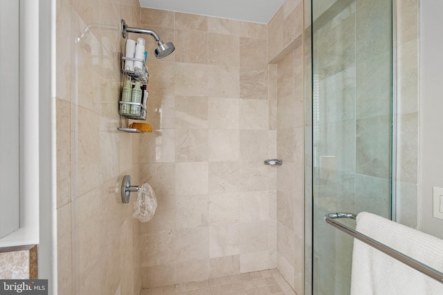 bathroom featuring a shower with shower door