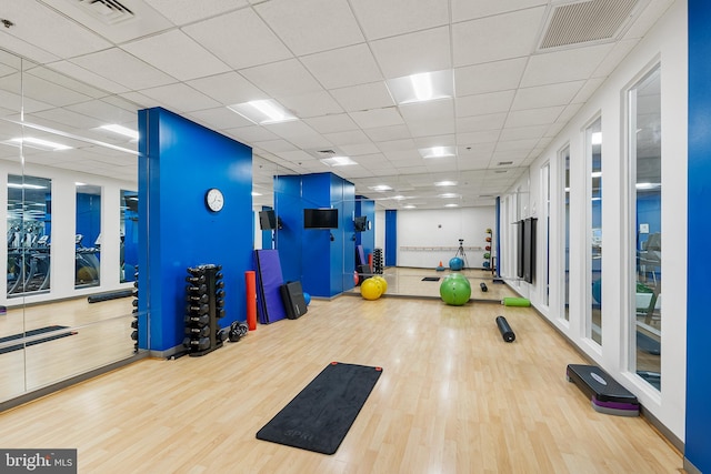 workout area with wood-type flooring and a drop ceiling