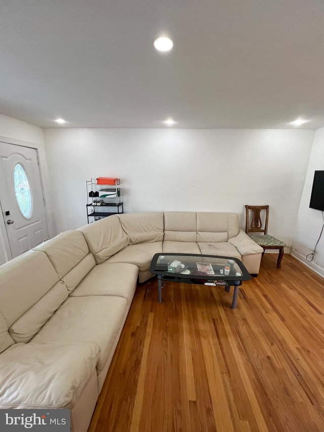 living room featuring hardwood / wood-style floors