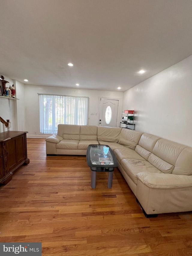 living room featuring hardwood / wood-style floors