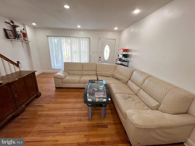 living room featuring wood-type flooring