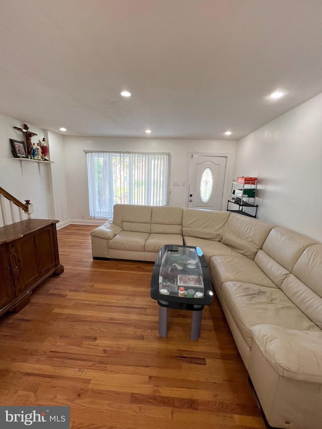 living room with hardwood / wood-style flooring