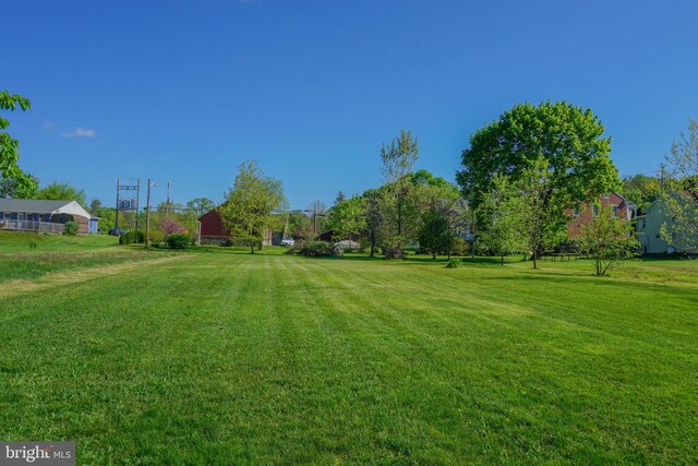 view of yard