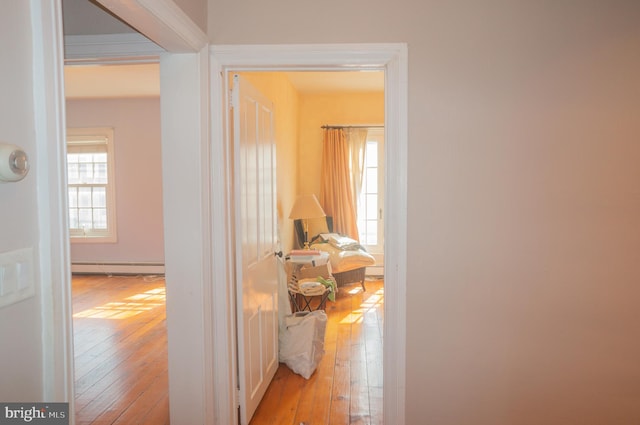 hall featuring light wood-type flooring and baseboard heating