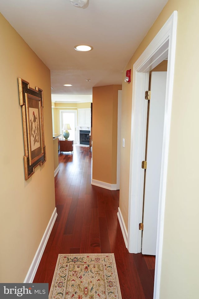 hall featuring dark hardwood / wood-style flooring