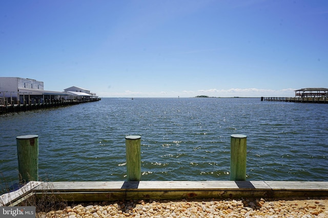 water view with a dock