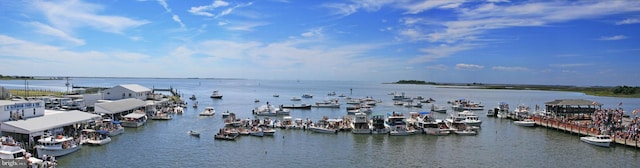 water view featuring a boat dock