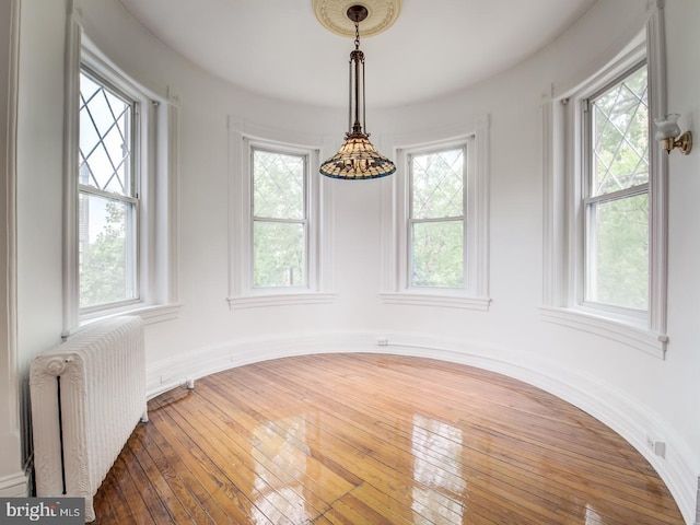 unfurnished dining area featuring radiator and a wealth of natural light