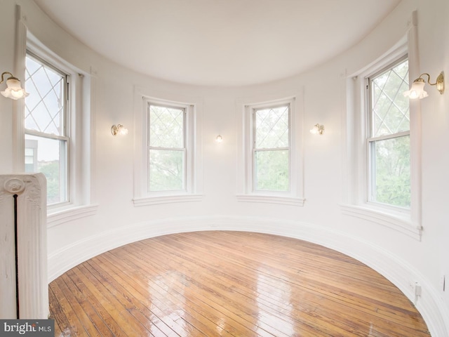 spare room featuring hardwood / wood-style flooring and radiator