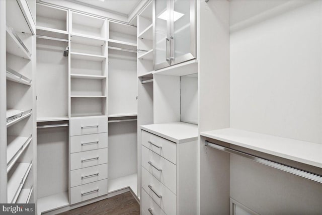 walk in closet featuring dark wood-type flooring