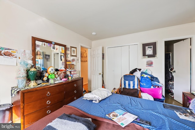 bedroom featuring a closet and hardwood / wood-style floors