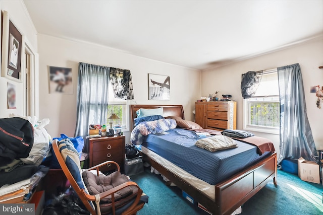 carpeted bedroom featuring multiple windows