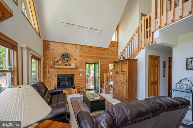 living room featuring rail lighting, a wealth of natural light, high vaulted ceiling, and wooden walls