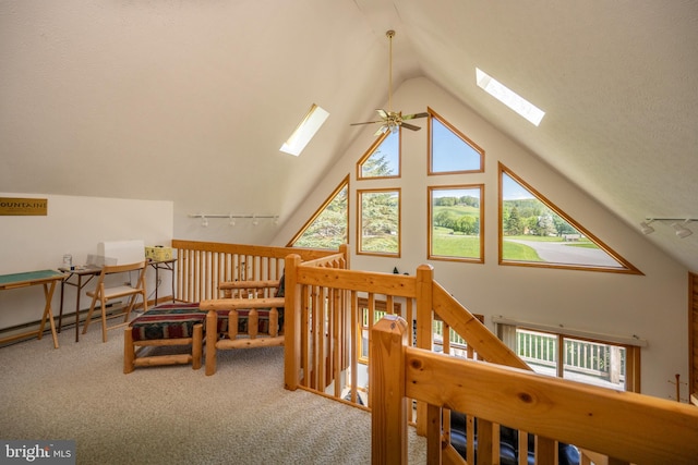 interior space featuring a skylight, a wealth of natural light, and rail lighting