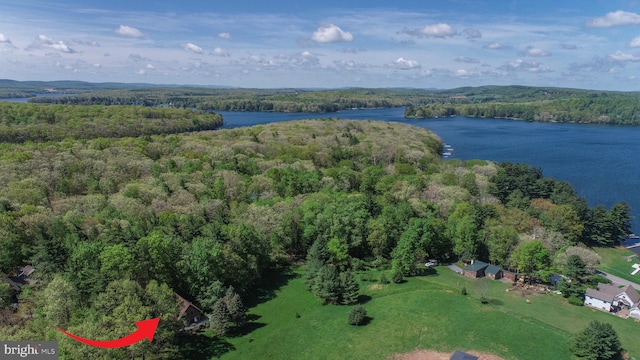 drone / aerial view featuring a water view