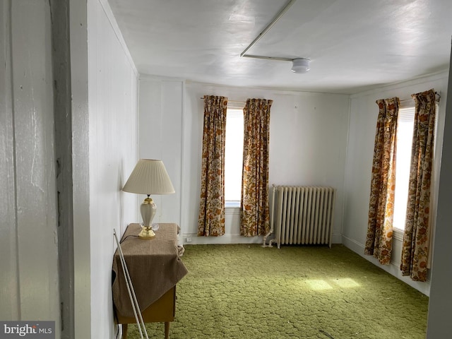 sitting room with carpet and radiator heating unit