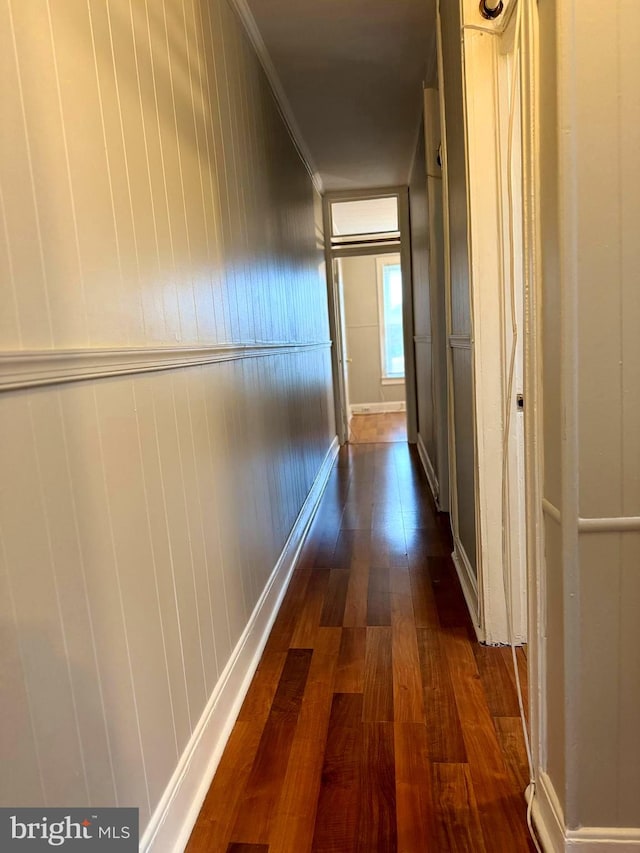 hallway with dark hardwood / wood-style floors and crown molding