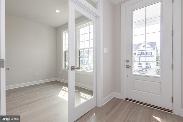 doorway featuring plenty of natural light and light wood-type flooring