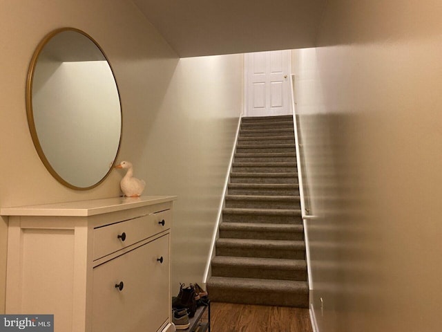 stairway with hardwood / wood-style floors