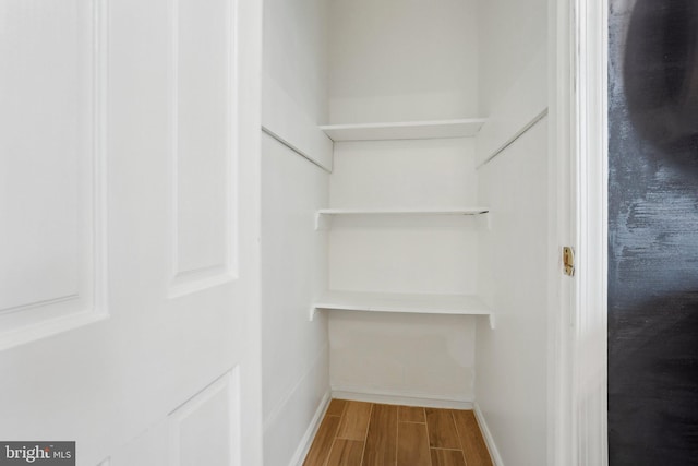 spacious closet with wood-type flooring