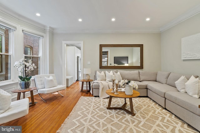 living room with hardwood / wood-style flooring and crown molding