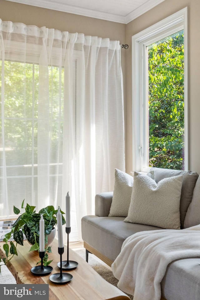 sitting room with crown molding