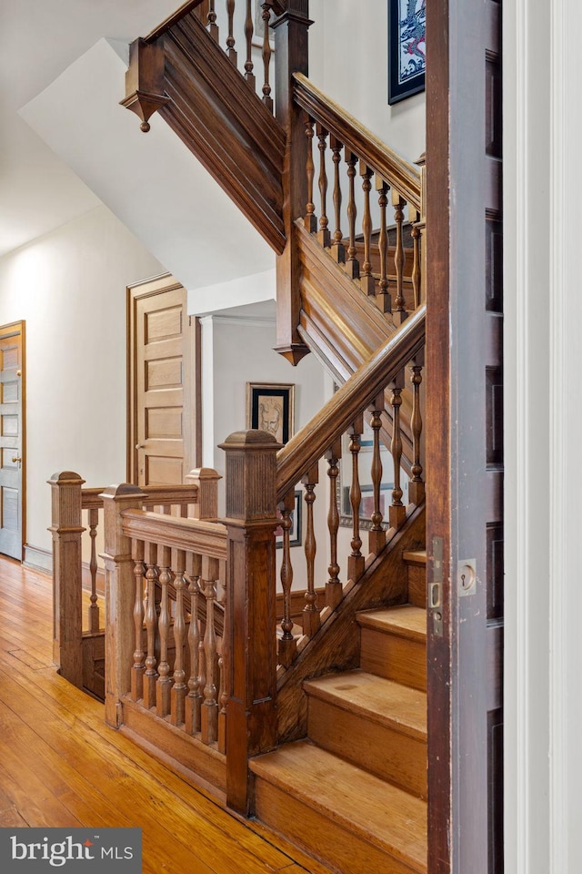 stairway with hardwood / wood-style floors