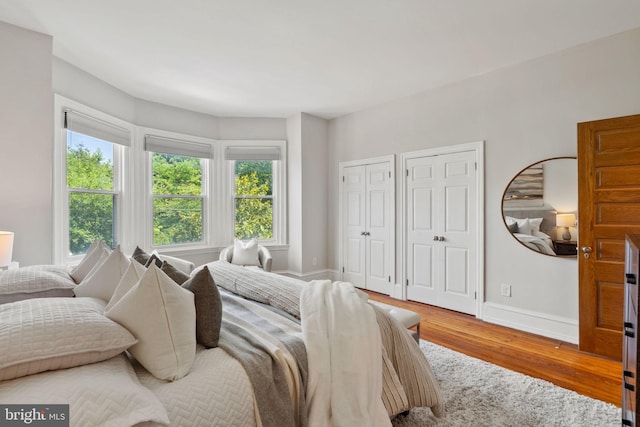 bedroom featuring wood-type flooring and multiple closets