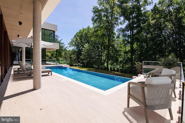 view of pool with a patio area