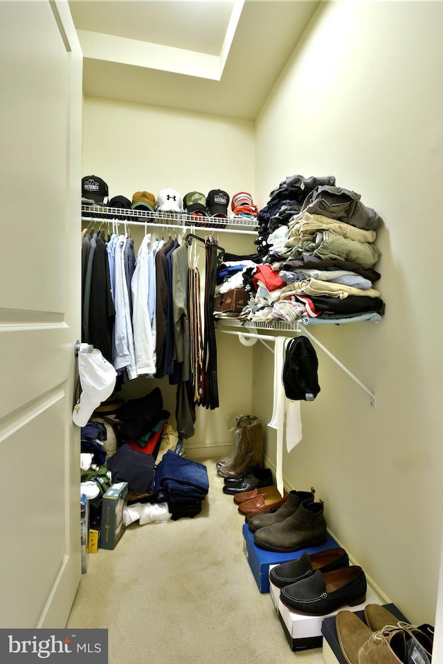 walk in closet with carpet floors