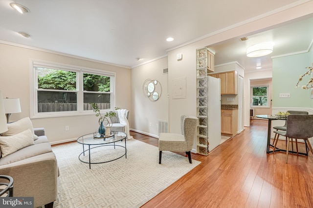 living room featuring light hardwood / wood-style flooring and ornamental molding