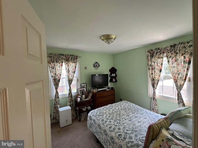 bedroom with carpet floors