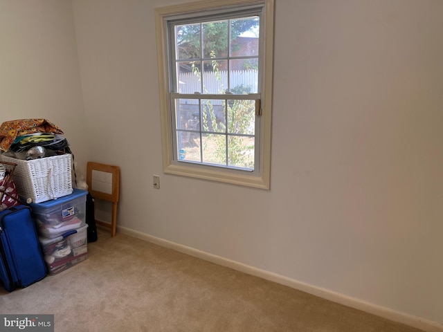 interior space featuring baseboards and carpet floors