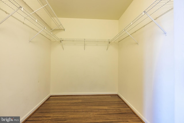 walk in closet with dark wood-type flooring