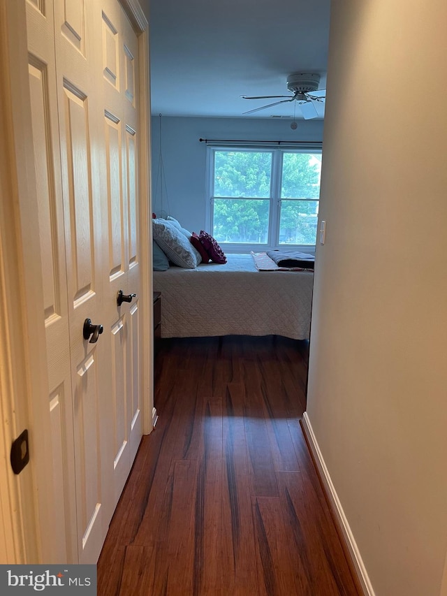 hall with dark hardwood / wood-style flooring