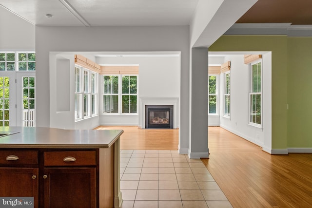 kitchen featuring light hardwood / wood-style floors, dark brown cabinetry, a healthy amount of sunlight, and ornamental molding