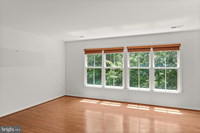 unfurnished room featuring a wealth of natural light and light hardwood / wood-style floors