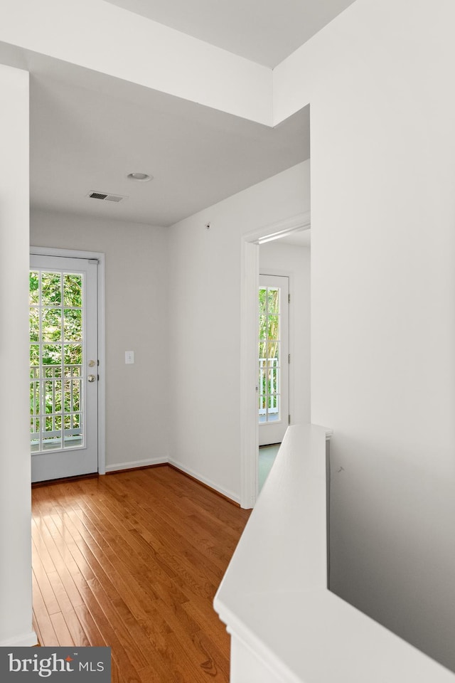 interior space with wood-type flooring and plenty of natural light