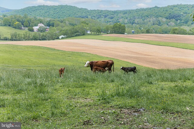 property view of mountains featuring a rural view