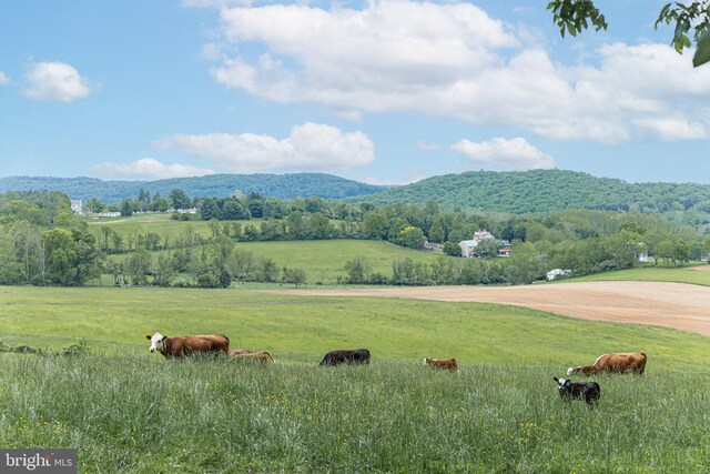 view of mountain feature featuring a rural view