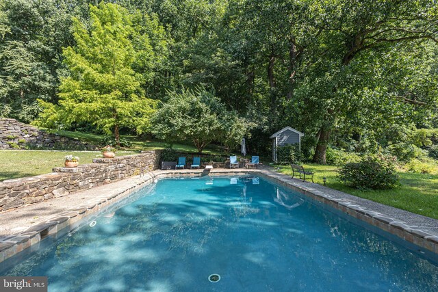 view of pool featuring a lawn and a shed