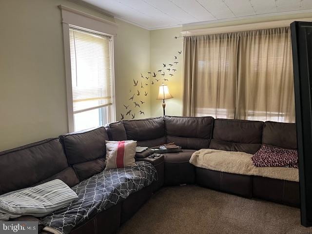 carpeted living room featuring ornamental molding